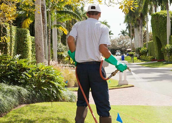 About Moran TX Pest Control